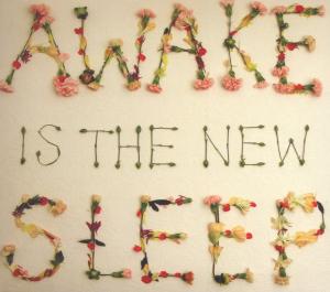 Foto Ben Lee: Awake Is The New Sleep CD