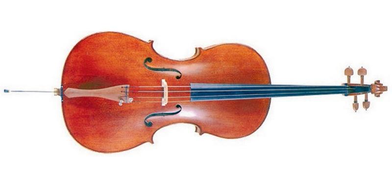 Foto Bernard Bce 443 1/4 Fir Wood Cello With Case