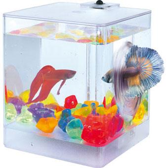 Foto BETERA CON LAMPARA AQUA BOX 1,3L