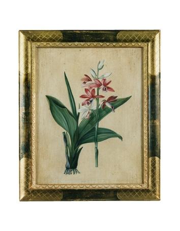 Foto Bianchi Arte Pinturas,