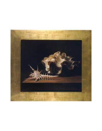 Foto Bianchi Arte Pinturas,