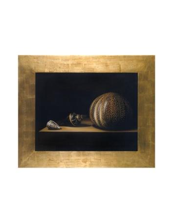 Foto Bianchi Arte Pinturas,