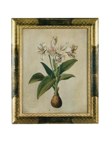 Foto Bianchi Arte Pinturas,