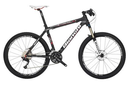 Foto Bianchi Methanol SX 9300
