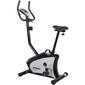 Foto Bicicleta estática Striale SV-369