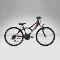 Foto Bicicleta Infantil Orbea Loopy 24 Susp 2011
