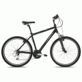 Foto Bicicleta Paseo Orbea Ravel Master 28 2011