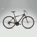 Foto Bicicleta Paseo Orbea Sport A40 2011