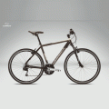 Foto Bicicleta Paseo Orbea Sport H30 2011