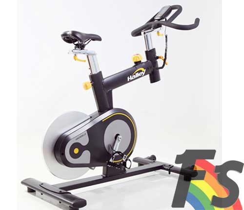 Foto Bicicleta Spinning hirondelle - halley
