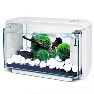Foto Biotop Natur Deluxe 25ltrs