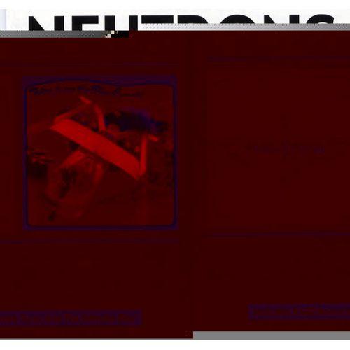 Foto Black Hole Star/Tales From The Blue Cocoons