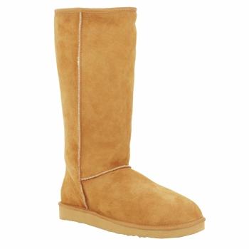 Foto Botas UGG Classic Tall