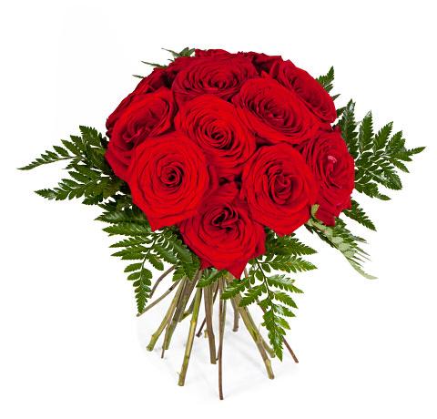 Foto Bouquet 12 Rosas Rojas Gala