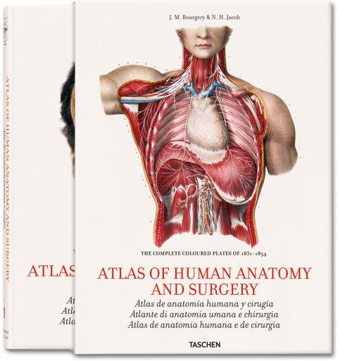 Foto Bourgery. Atlas of Human Anatomy and Surgery