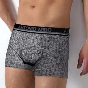 Foto Boxer Antonio Miró 46491