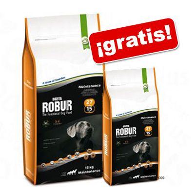 Foto Bozita Robur 12 a 15 kg 1,5 / 2 kg gratis! - Genuine con cordero y arroz 23/1