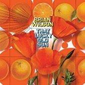 Foto Brian Wilson: That Lucky Old Sun + Dvd CD