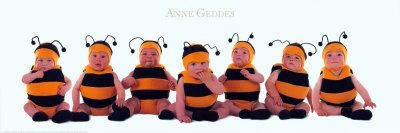 Foto Bumblebee Babies, Anne Geddes - Laminas