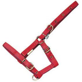 Foto Cabezada nylon MEHIS para potro. Rojo