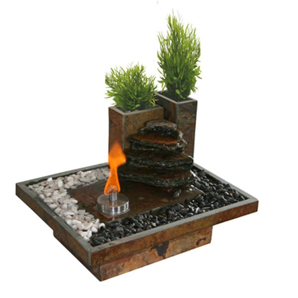 Foto Cactose Fuente de relajacion fuego-vegetal