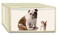 Foto Caja ordenacion photobox m puppy