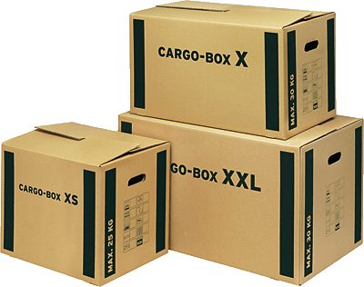 Foto Cajas cargo box Smart Box Pro 5 uds.560x293x330 mm.