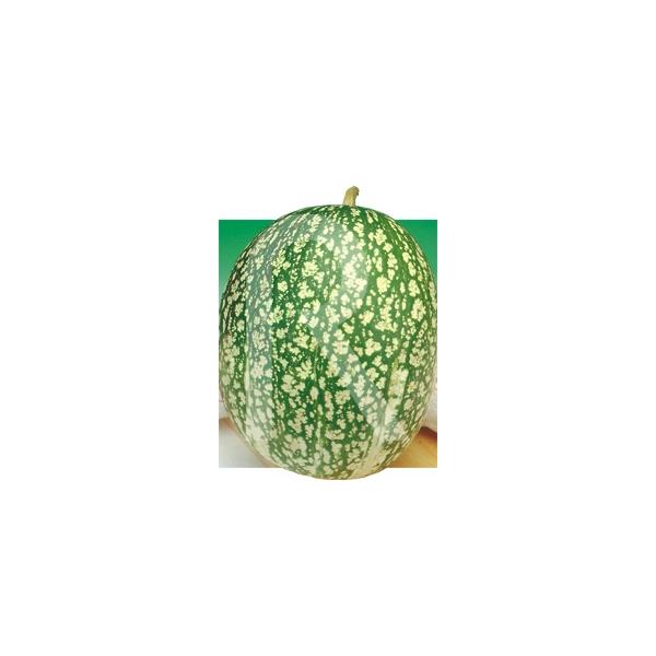 Foto Calabaza cabello de ángel