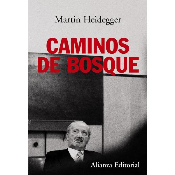 Foto CAMINOS DE BOSQUE