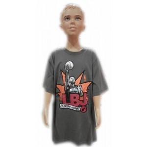 Foto Camiseta algodón gris junior lebron james