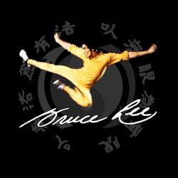 Foto Camiseta Bruce Lee. Patada voladora