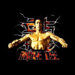 Foto Camiseta Bruce Lee. Saludo