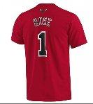Foto Camiseta de algodon de los Chicago Bulls , de su jugador Derrick Rose