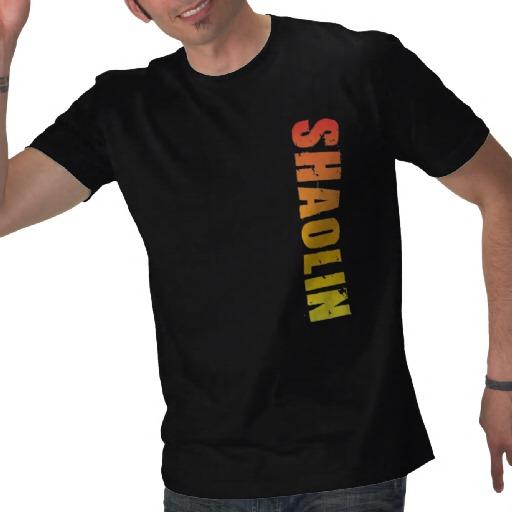 Foto Camiseta de Shaolin Kung Fu