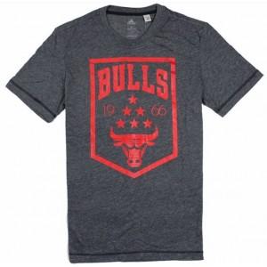 Foto Camiseta manga corta chicago bulls gris