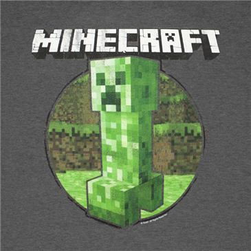 Foto Camiseta MINECRAFT 