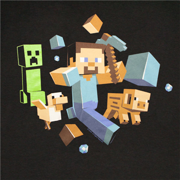 Foto Camiseta MINECRAFT 