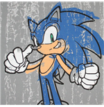 Foto Camiseta Sonic The Hedgehog Rough Paint