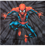 Foto Camiseta Spiderman Tie-Dyed