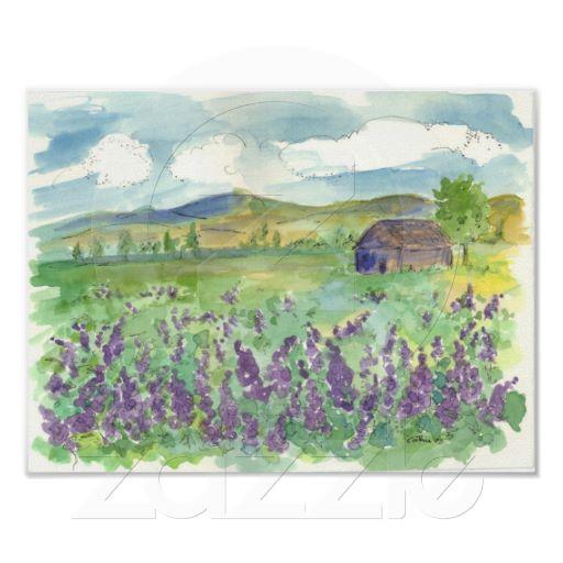 Foto Campo púrpura del Lupine del prado de la acuarela Impresiones