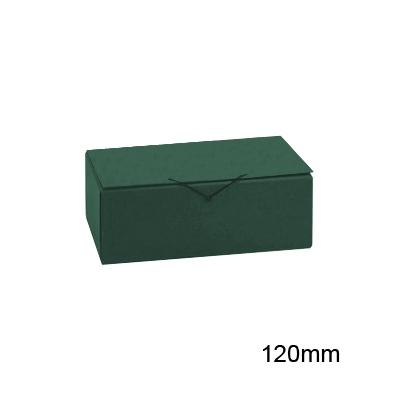 Foto Carpeta Pardo de proyectos con broche de 120mm. color verde