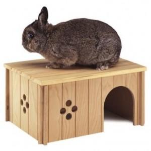 Foto Caseta madera conejos y chinchillas