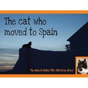 Foto Cat That Moved To Spain, The