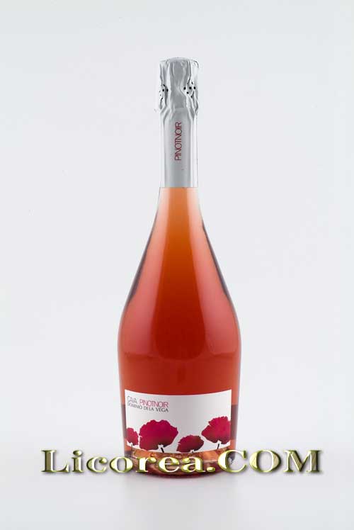 Foto Cava Valenciano - Dominio de la Vega Pinot Noir