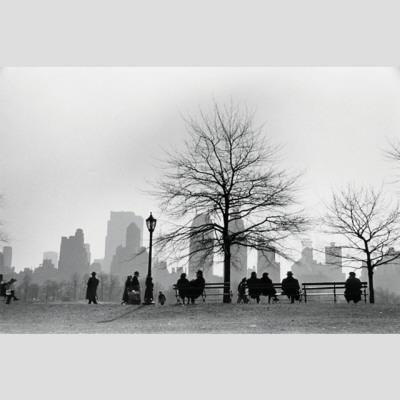 Foto Central Park South Silhouette, New York City - Laminas