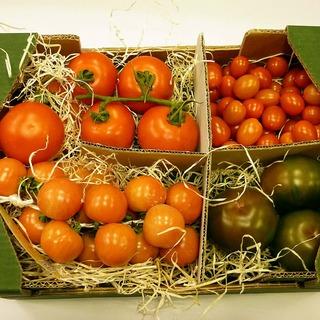 Foto Cesta Selección De Tomates Peso Aprox. 4 Kgs.