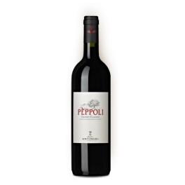 Foto Chianti classico peppoli 2009 antinori