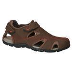 Foto CHIRUCA ATACAMA 4995.22