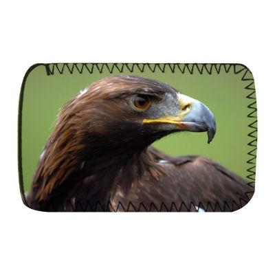 Foto Christine the golden eagle at the Kielder.. - Protective Phone Soc ...