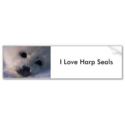 Foto Cierre blanco de la foto de la foca de Groenlandia Etiqueta De...